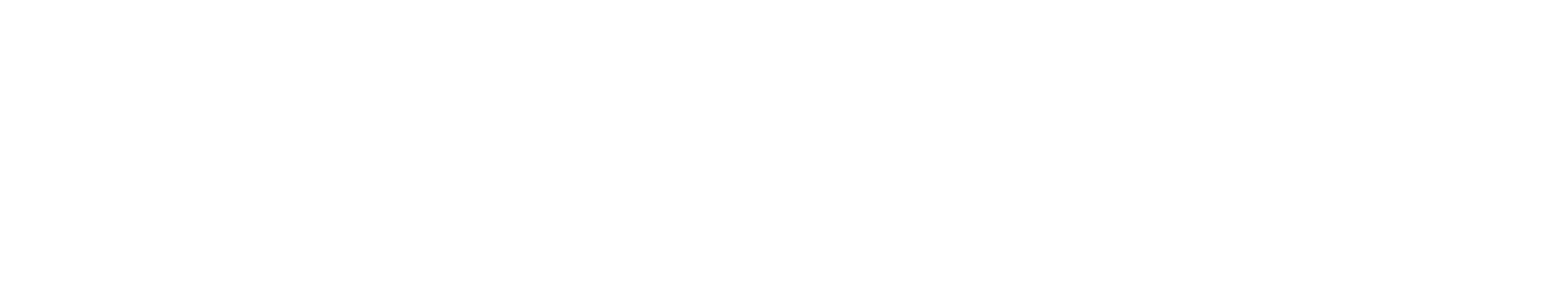 Solid Claimshandling and Solutions